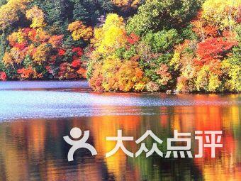 提高试管移植成功率需要从哪些事情开始做起?