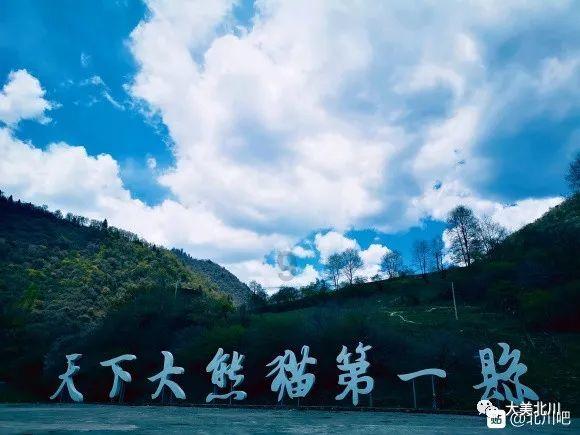 如何在日常生活中进行口腔护理？游戏画面